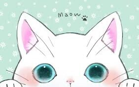 おはようございます✨