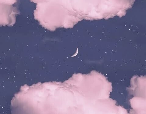 ❤︎