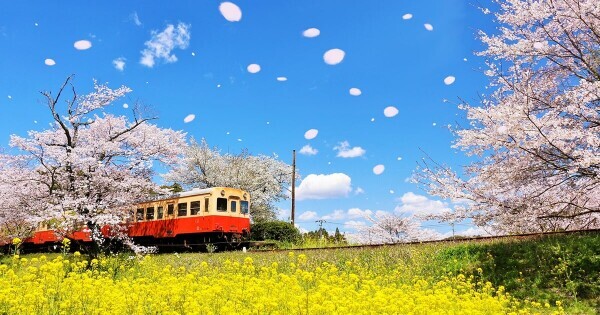 🍀おはようございます🍀