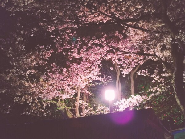 ラストまでです( *´﹀`* )