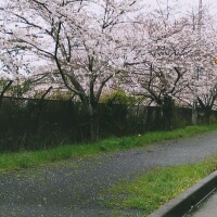 世界の車窓から…ならぬ