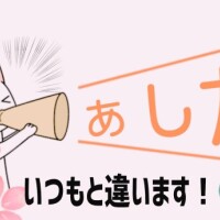 🌸お疲れ様です🌸