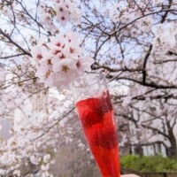 ✨🪷癒やされる一時を🪷✨