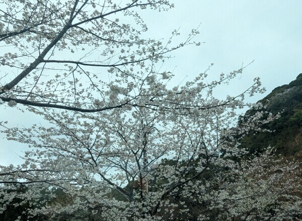 出勤しました😊
