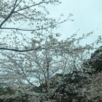 出勤しました😊