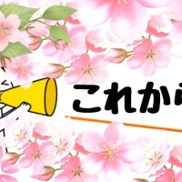 こんにちは！