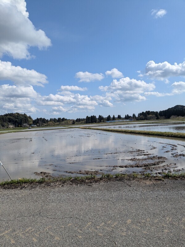 おはよう☀