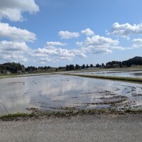 おはよう☀