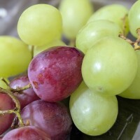ビタミン🍇