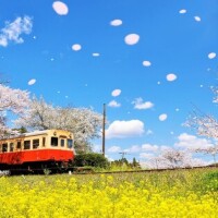 🍀🌸🍀出勤しました🍀🌸🍀