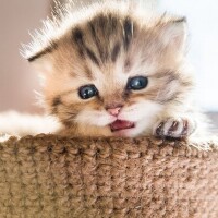 あぁ🥺