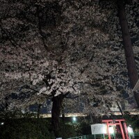 ちょっぴり肌寒いけど