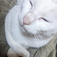 出勤しました🤭