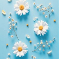 💐
