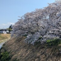 本日も急遽！！これから出勤します😊