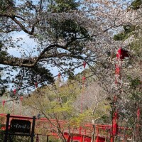 泉橋