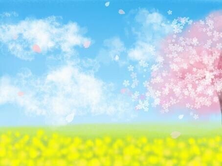 🍀おはようございます🍀