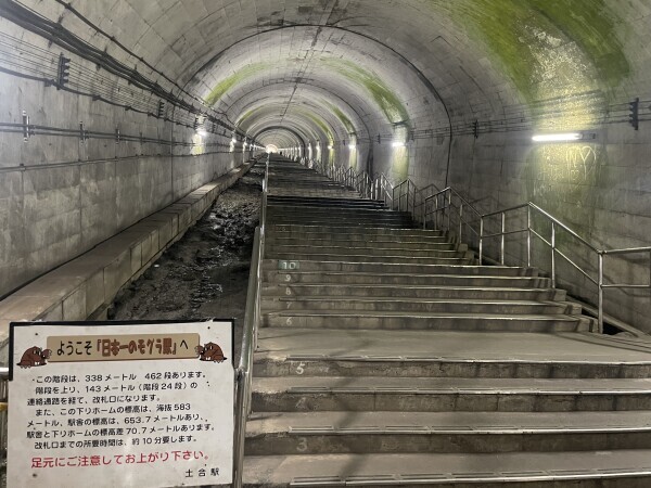 モグラ駅😳