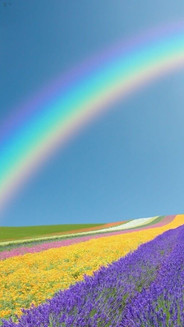 こんにちは☀️