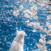 暑い☀️