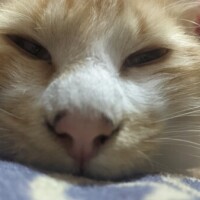 向かってます🚘️