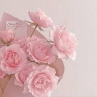 ❤︎
