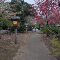 いつもは寝る時間に起きる🤭