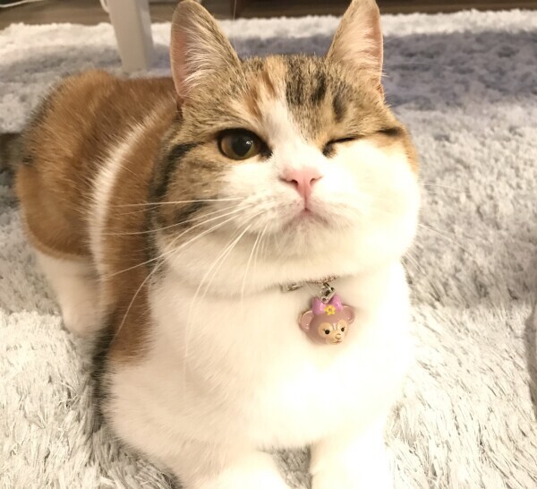 🍀出勤しました🍀