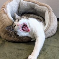 コワッ❗