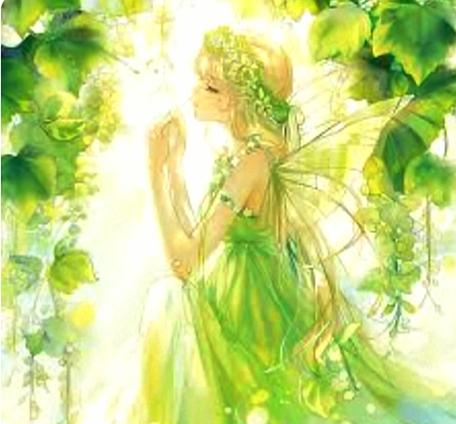最近のお気に入り✨