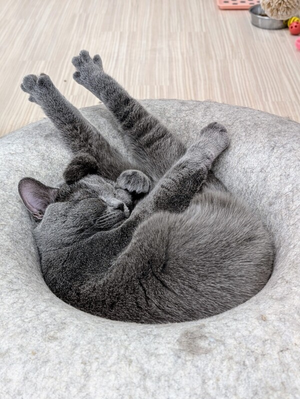 お休みです