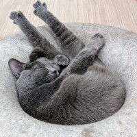 お休みです