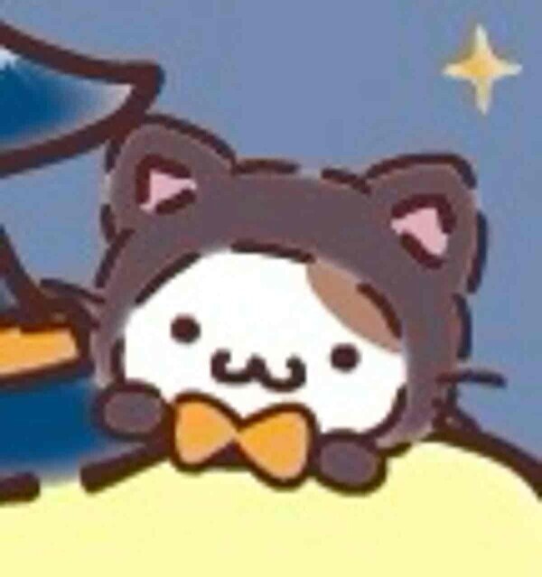 今日はお休み
