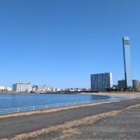 最近ご無沙汰の千葉みなと