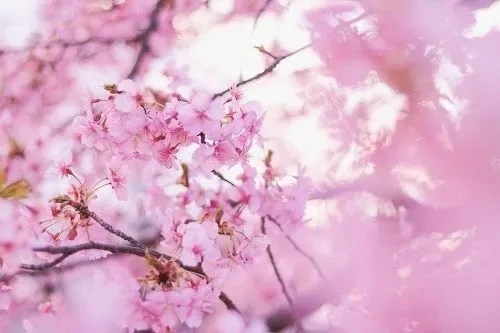また明日♡