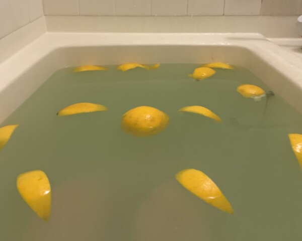 image0.jpeg