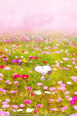 午後から🤗