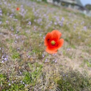 出勤です🌈