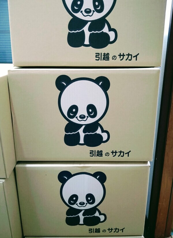 森本、引越しまーす🐼