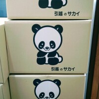 森本、引越しまーす🐼