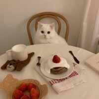 出勤しました☺︎