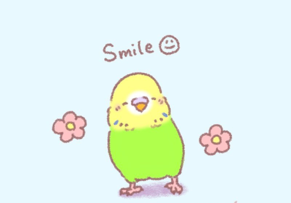 こんにちは☀
