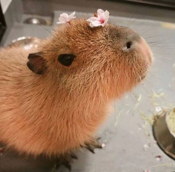 ありがとうございました🎶