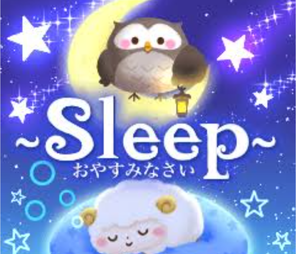 今日もありがとうございました✨