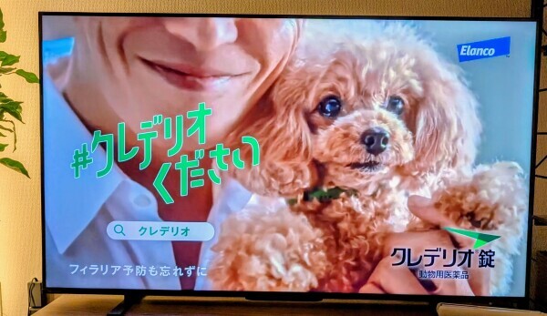 かわいぃ😍