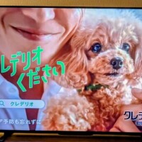 かわいぃ😍