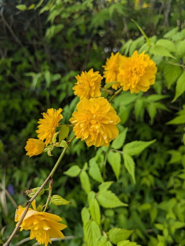 明日からまた週末ですね😊