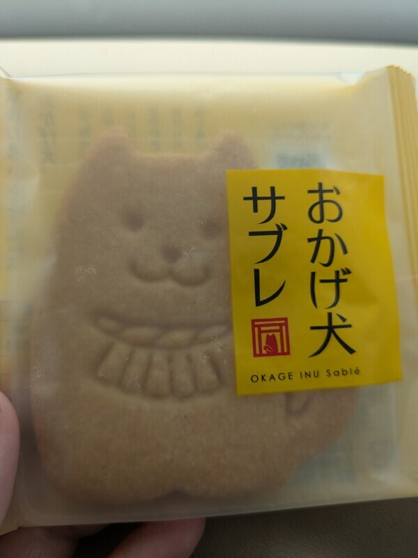 出勤しました😚