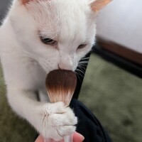 あるある♪