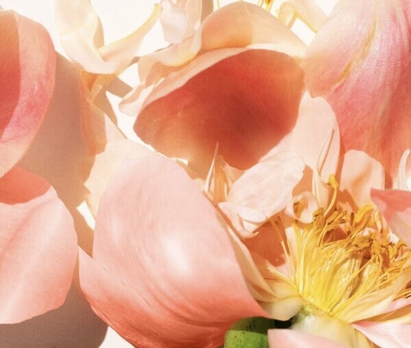 💐